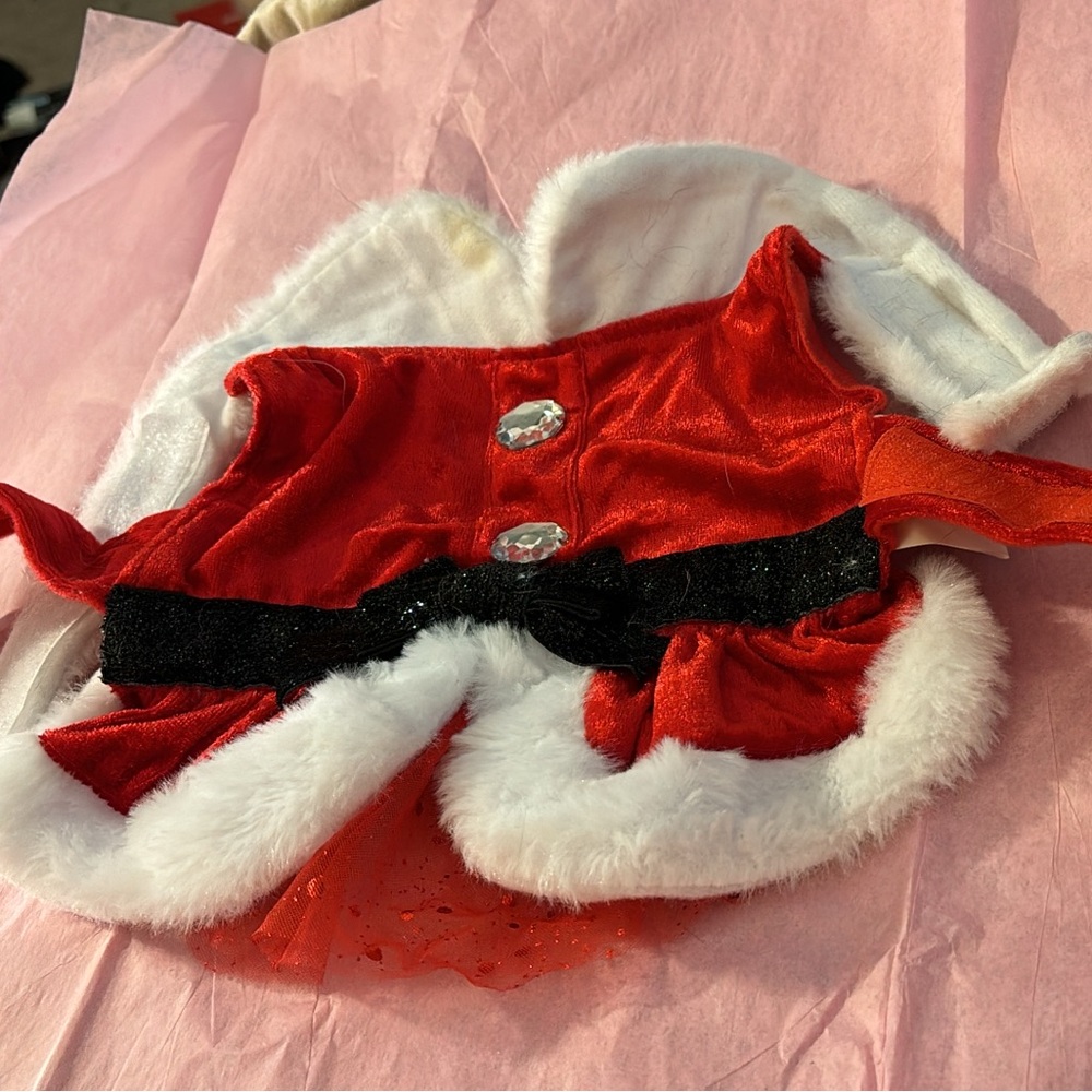 Merry & Bright Mrs.Claus Dog Christmas Pet Costume Size extra small